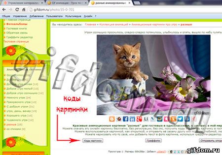 страница сайта с картинкой котёнка